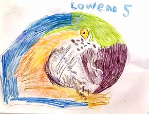 Lowen, 5, Parrot