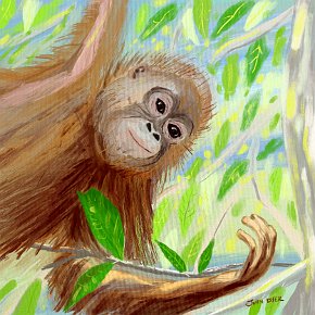 Orangutan 1